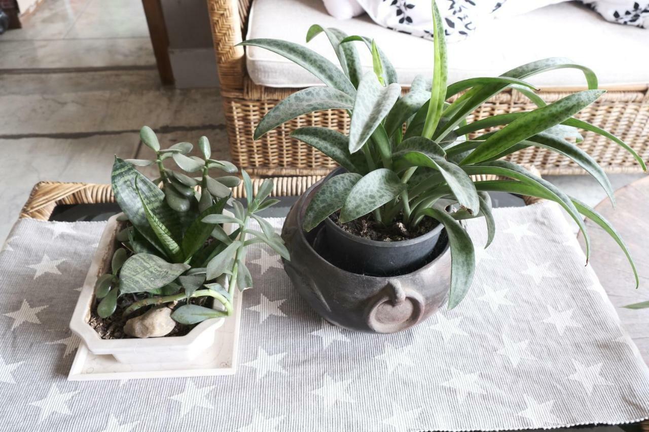 Magen Apartment Имфал Екстериор снимка